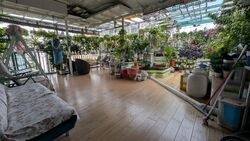 Summerdale (D22), Condominium #479998961